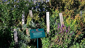 Paradiesgarten